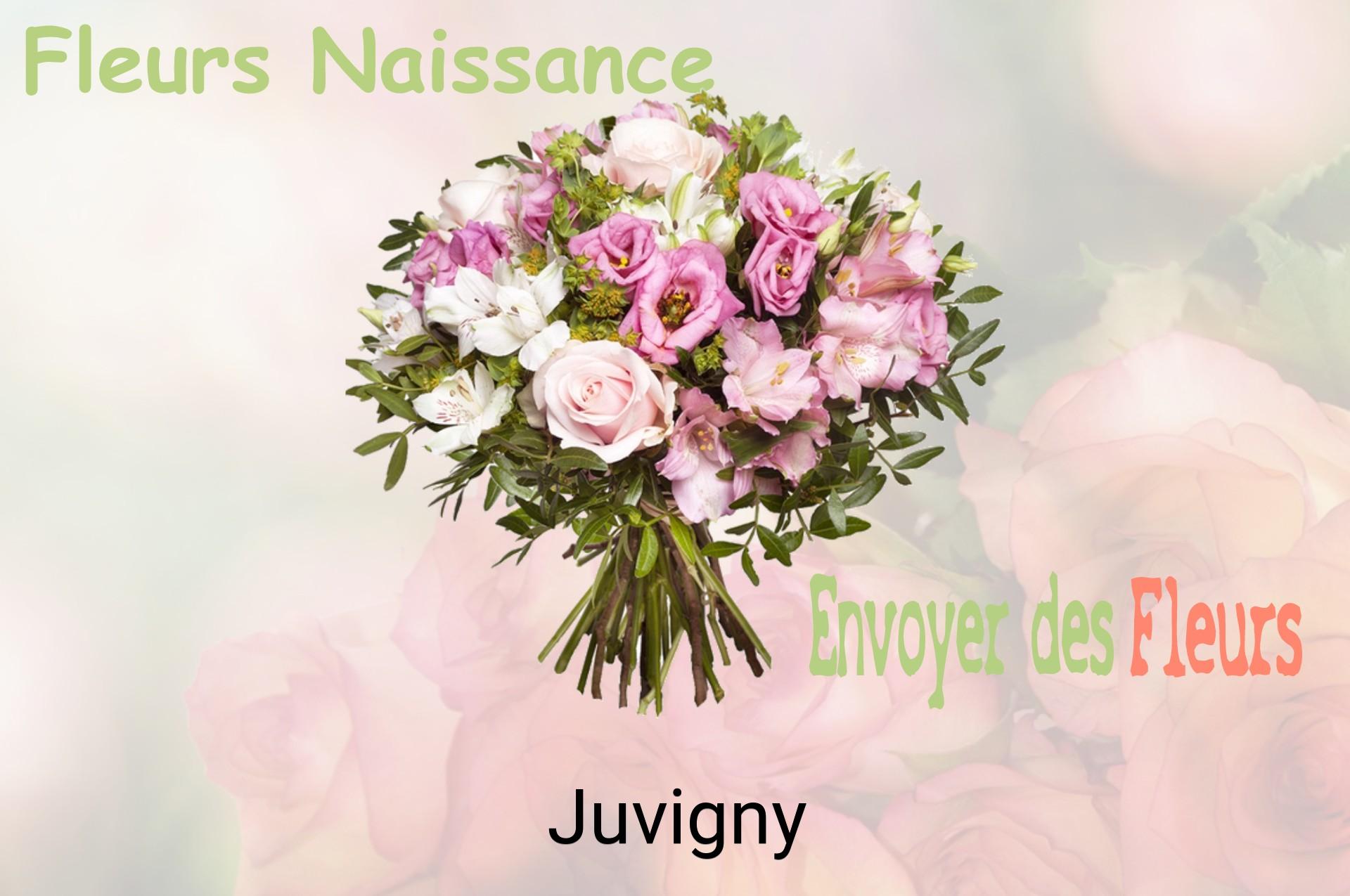 Bouquet de fleurs de naissance livré à Juvigny